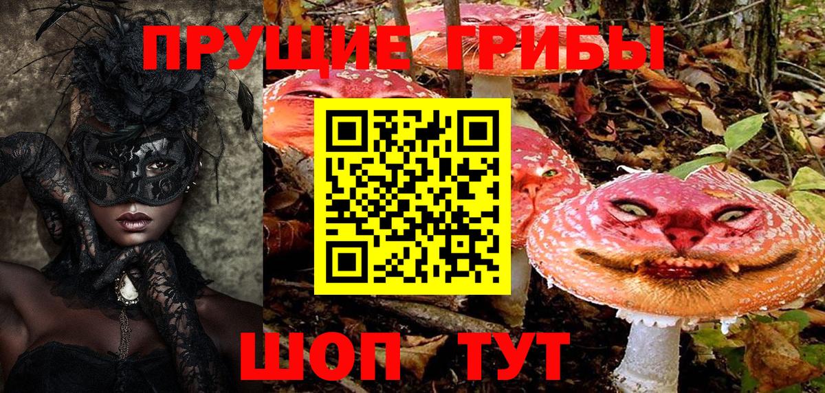 Галлюциногенные грибы прущие грибы Слободской